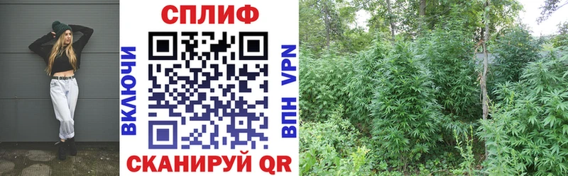 Купить  Сортавала  Марихуана гибрид 